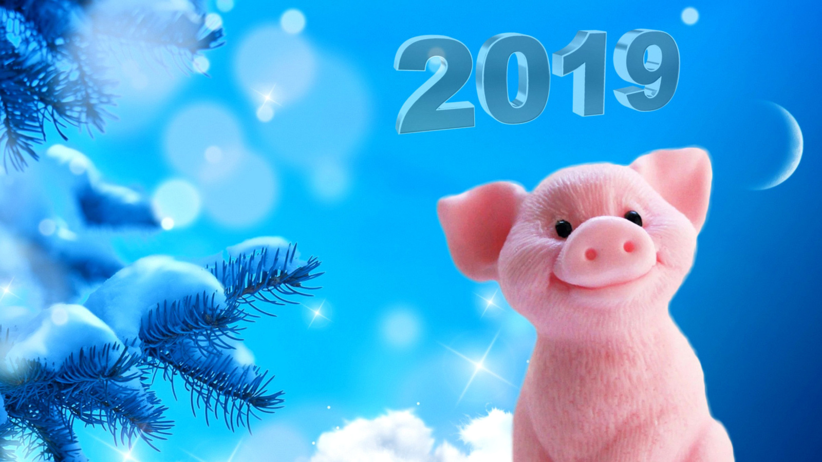 2019 Pig New Year Chinese Calendar wallpaper 1600x900