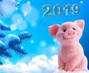 2019 Pig New Year Chinese Calendar wallpaper 176x144
