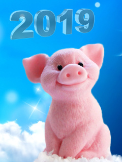 2019 Pig New Year Chinese Calendar wallpaper 240x320