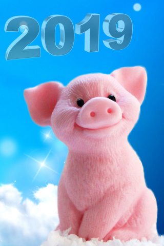 Sfondi 2019 Pig New Year Chinese Calendar 320x480