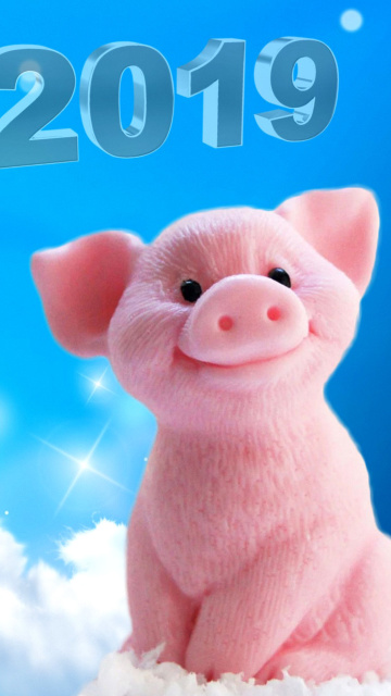 Sfondi 2019 Pig New Year Chinese Calendar 360x640