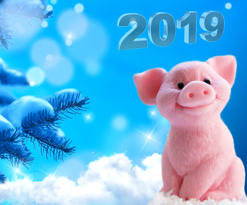 Обои 2019 Pig New Year Chinese Calendar 480x400