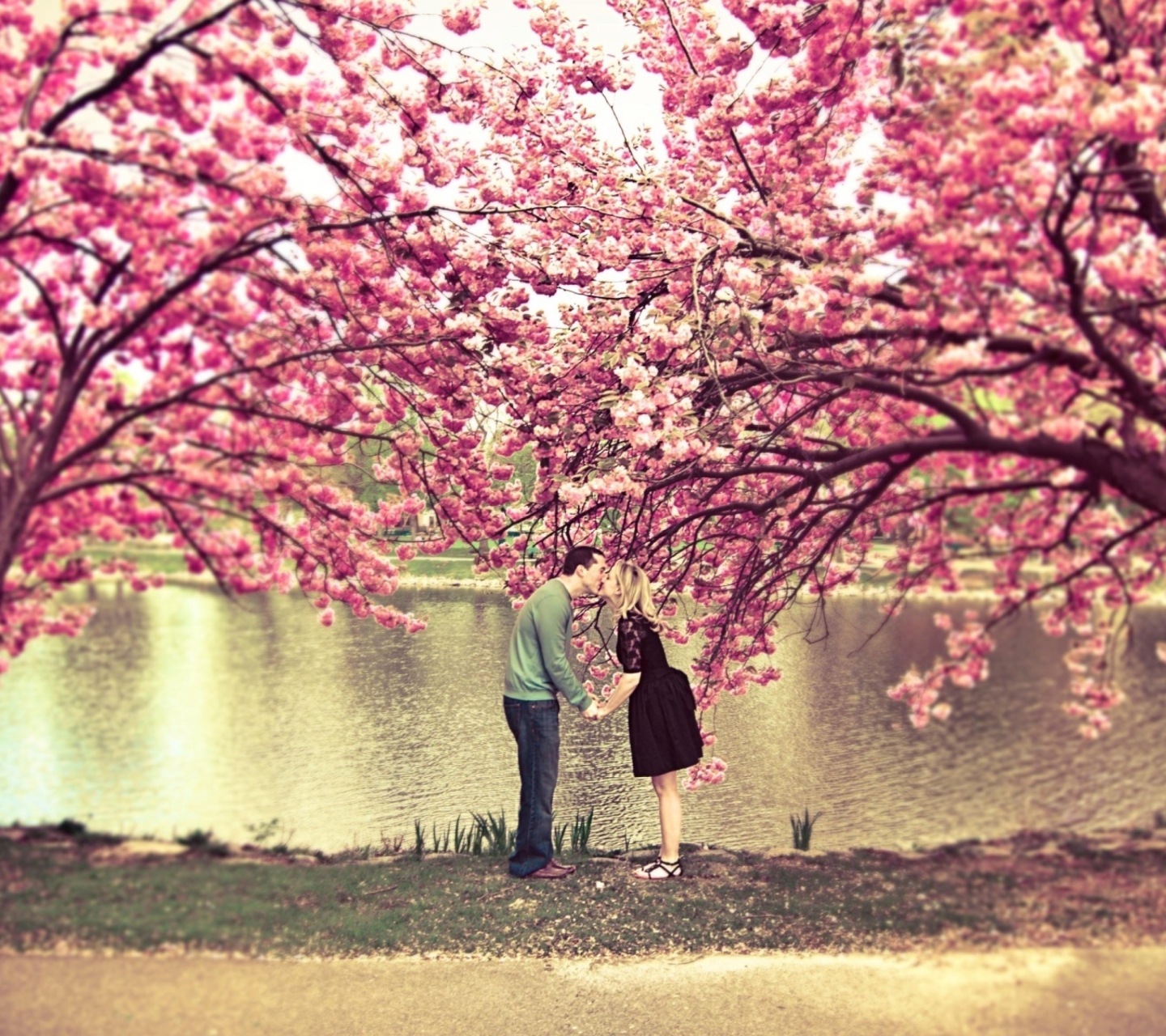 Das Spring Love Has Come Wallpaper 1440x1280