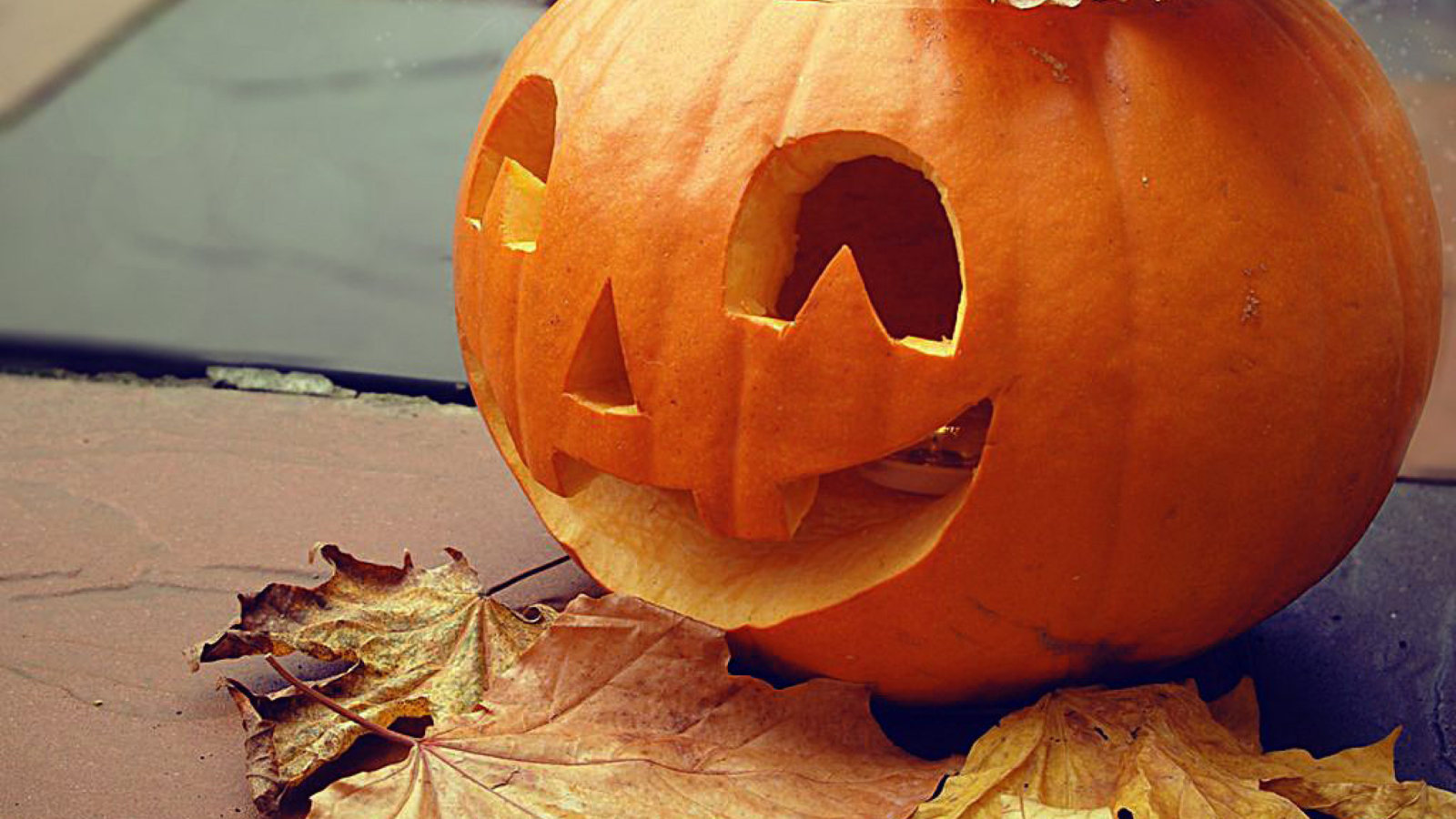 Fondo de pantalla Smiling Pumpkin 1600x900