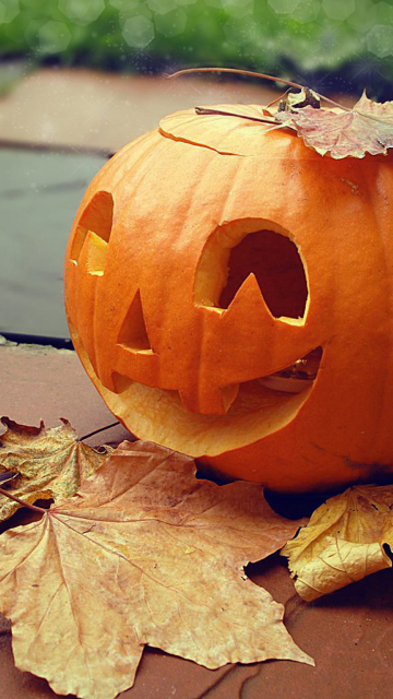 Smiling Pumpkin screenshot #1 360x640