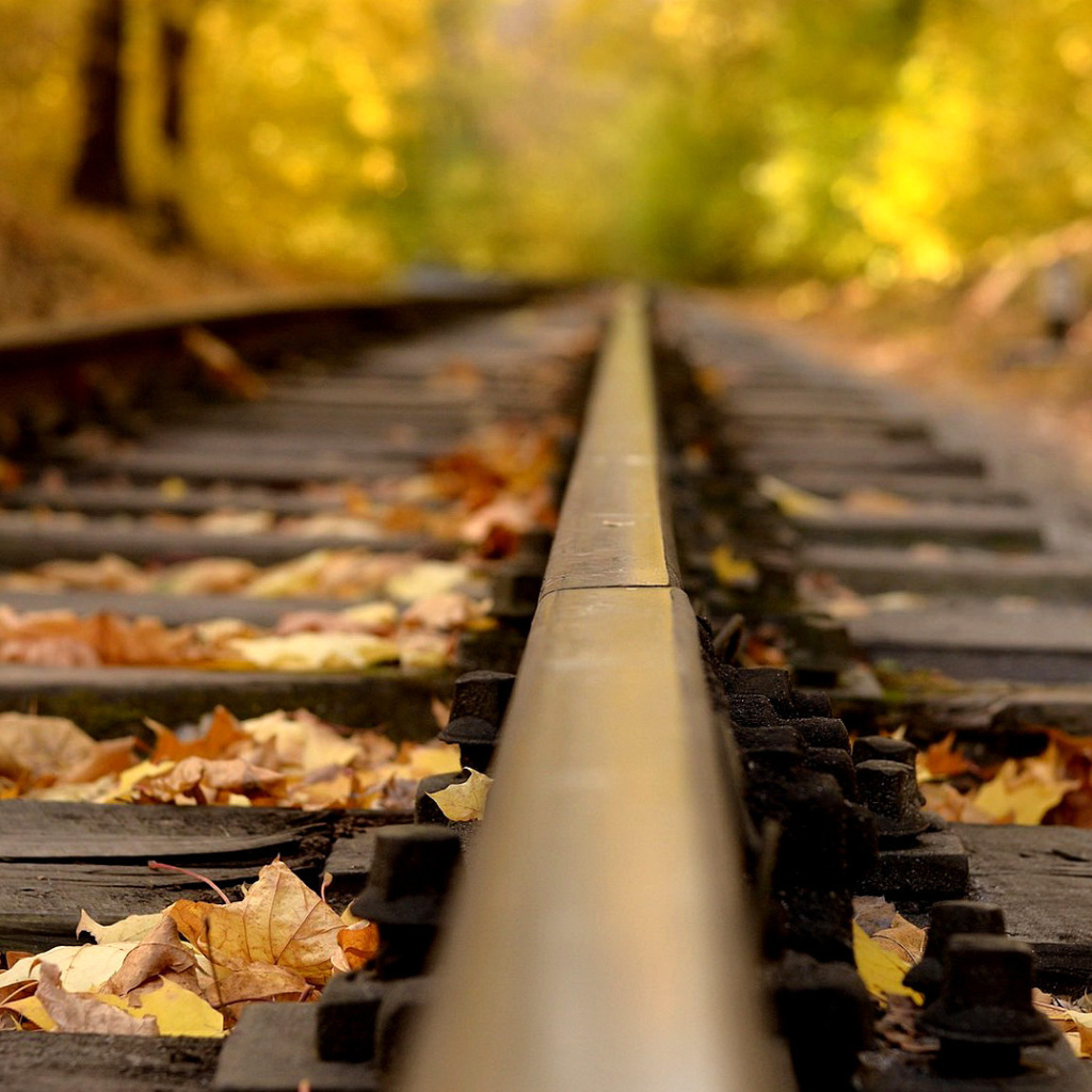 Railway tracks in autumn wallpaper 1024x1024