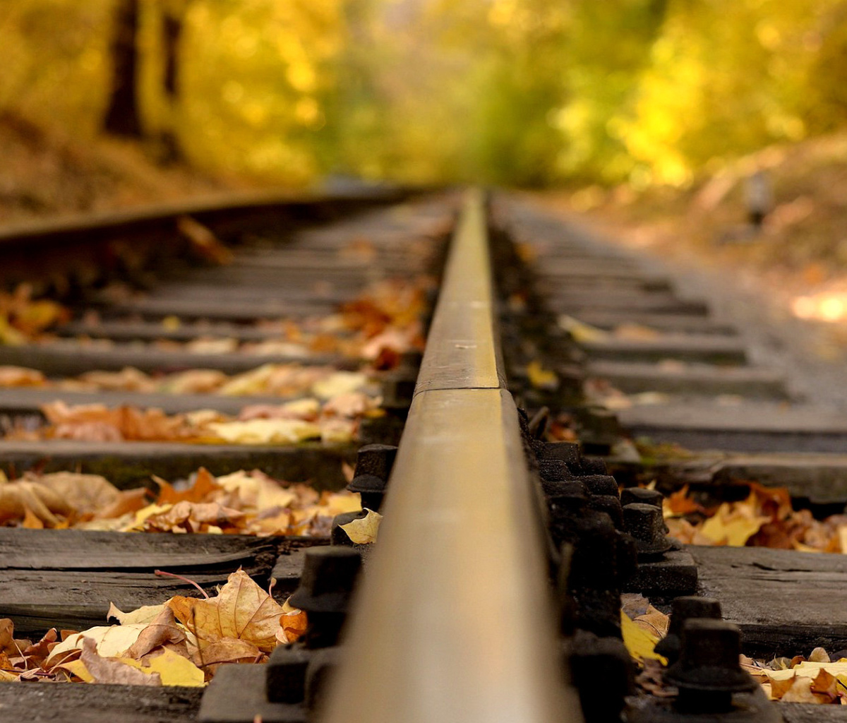 Sfondi Railway tracks in autumn 1200x1024