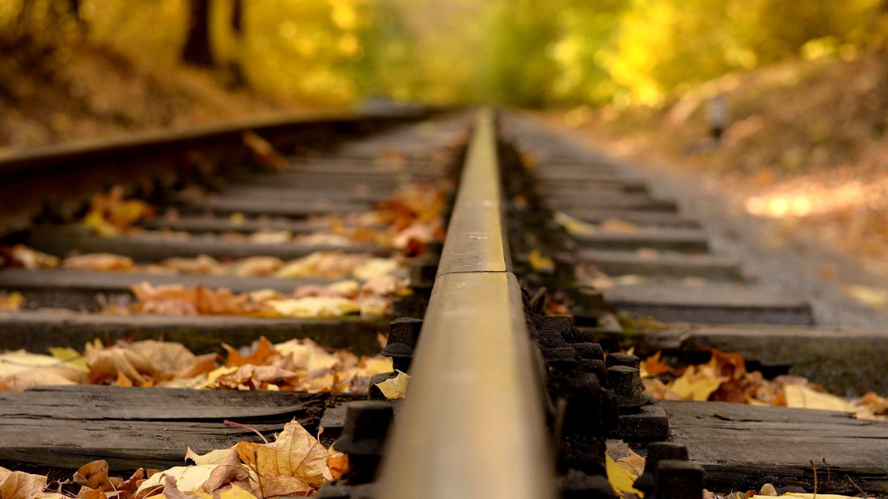 Das Railway tracks in autumn Wallpaper 1280x720