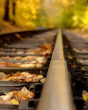 Fondo de pantalla Railway tracks in autumn 128x160