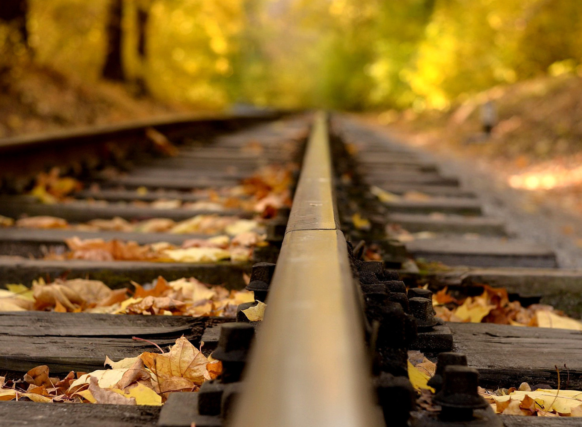 Railway tracks in autumn wallpaper 1920x1408