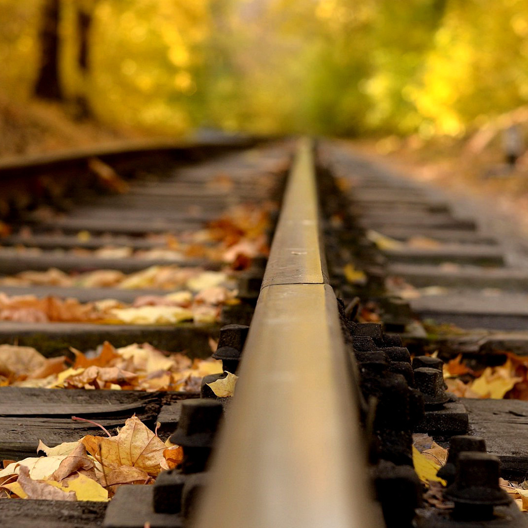 Fondo de pantalla Railway tracks in autumn 2048x2048