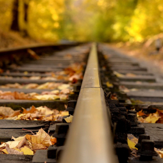 Kostenloses Railway tracks in autumn Wallpaper für 208x208