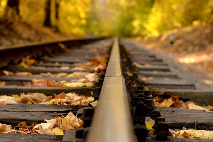 Sfondi Railway tracks in autumn