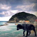 Dog On The Beach screenshot #1 128x128