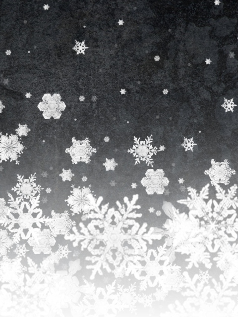 Fondo de pantalla Snowflakes 480x640