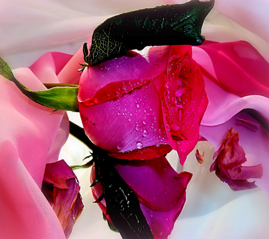Das Beautiful Roses Wallpaper 1080x960