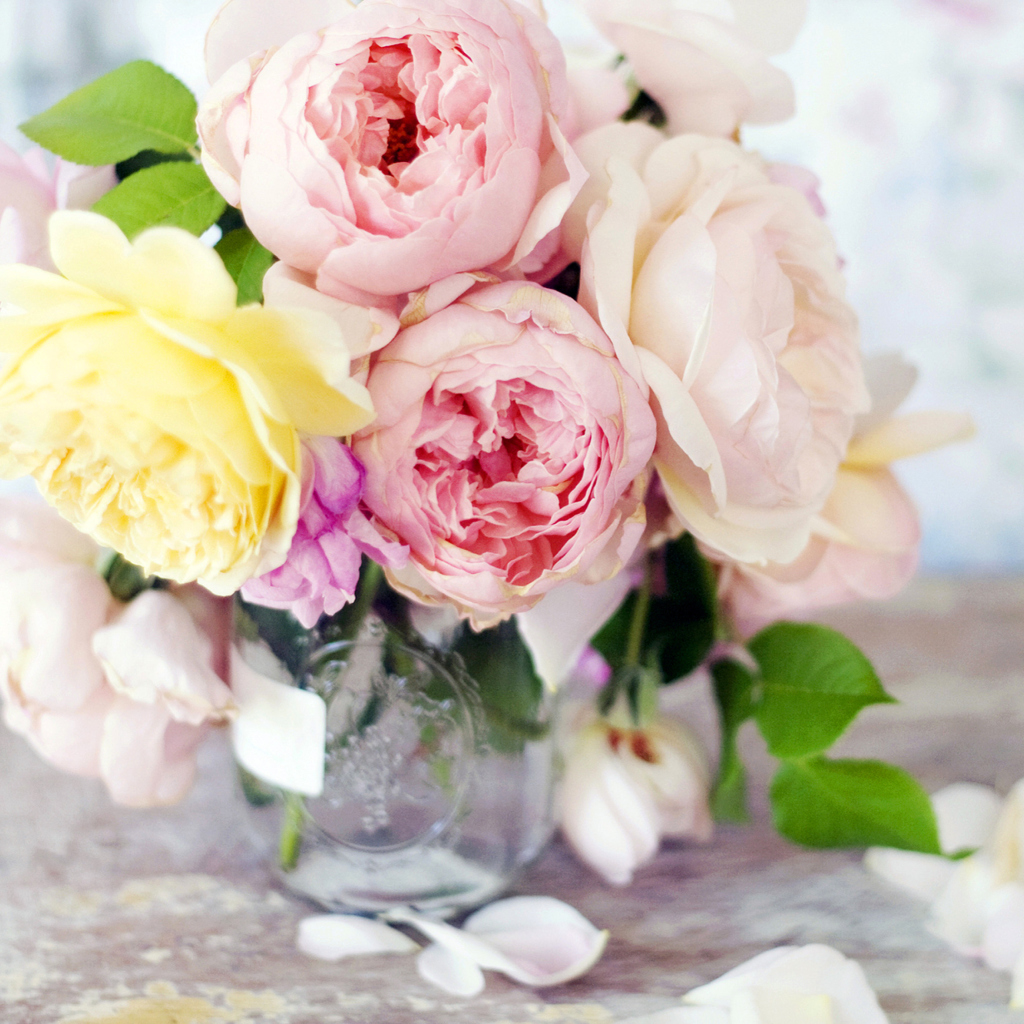 Das Tender Peonies Wallpaper 1024x1024