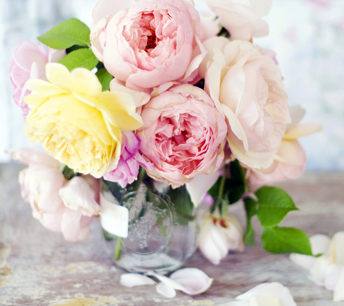 Tender Peonies wallpaper 1440x1280