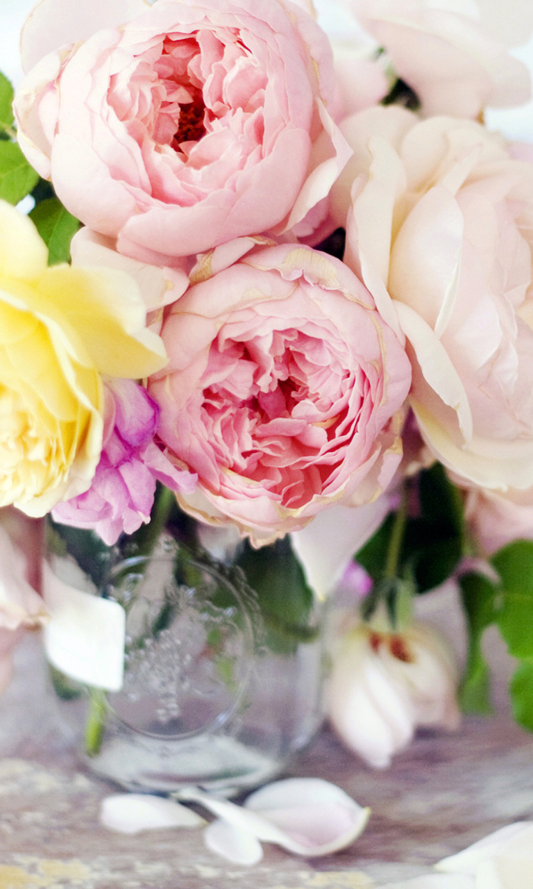 Tender Peonies wallpaper 768x1280