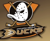 Sfondi Anaheim Ducks - NHL 176x144