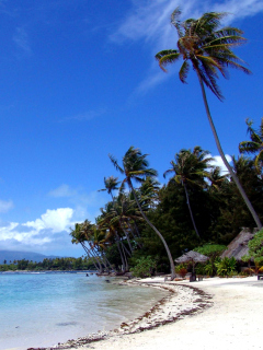 Sfondi Cook Islands 240x320