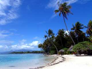 Cook Islands screenshot #1 320x240