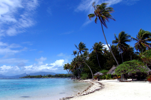 Cook Islands screenshot #1 480x320