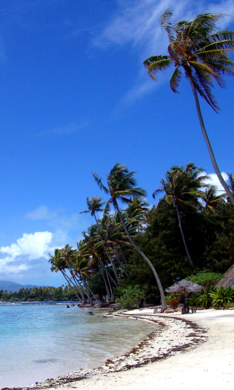 Cook Islands screenshot #1 480x800