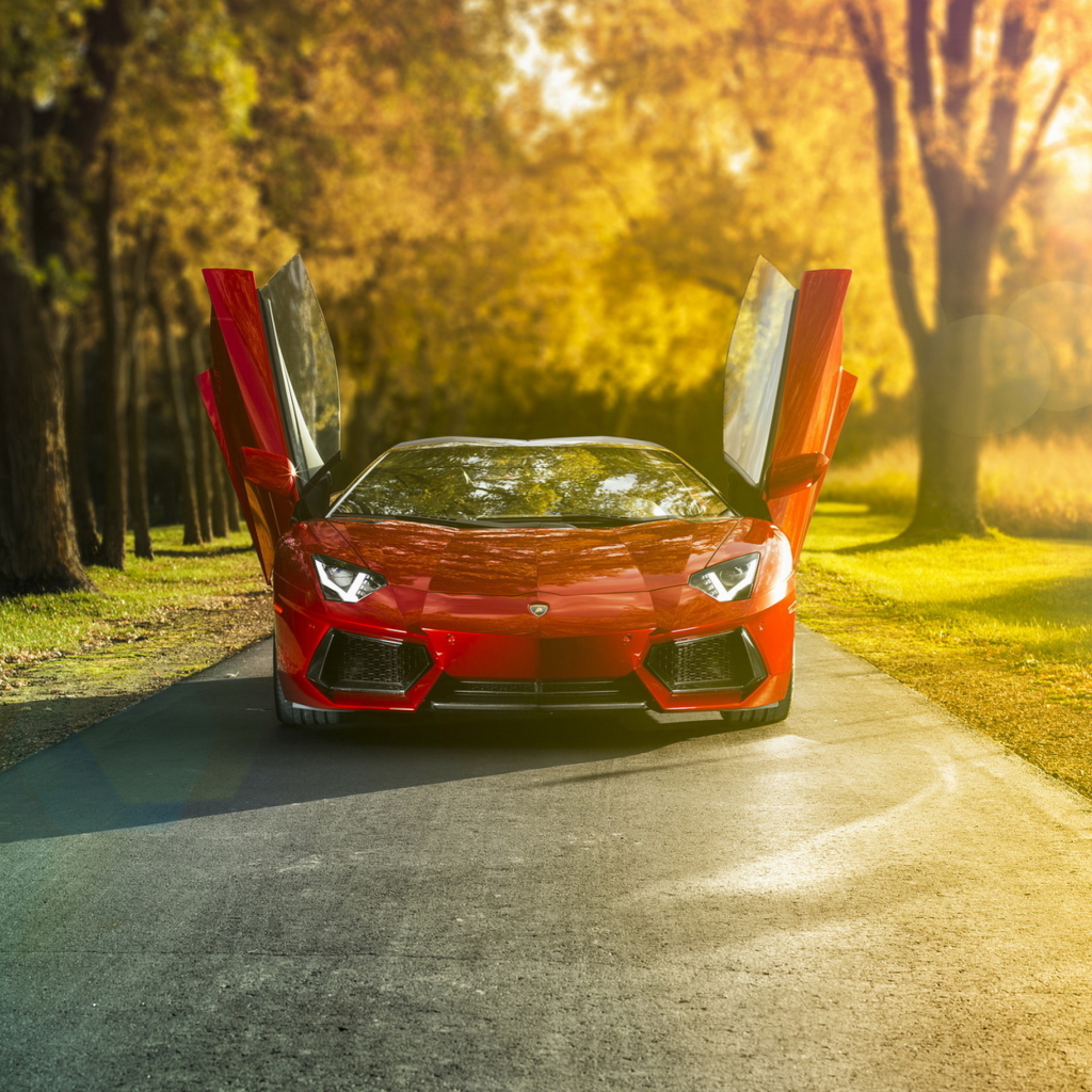 Fondo de pantalla Red Lamborghini Aventador 1024x1024