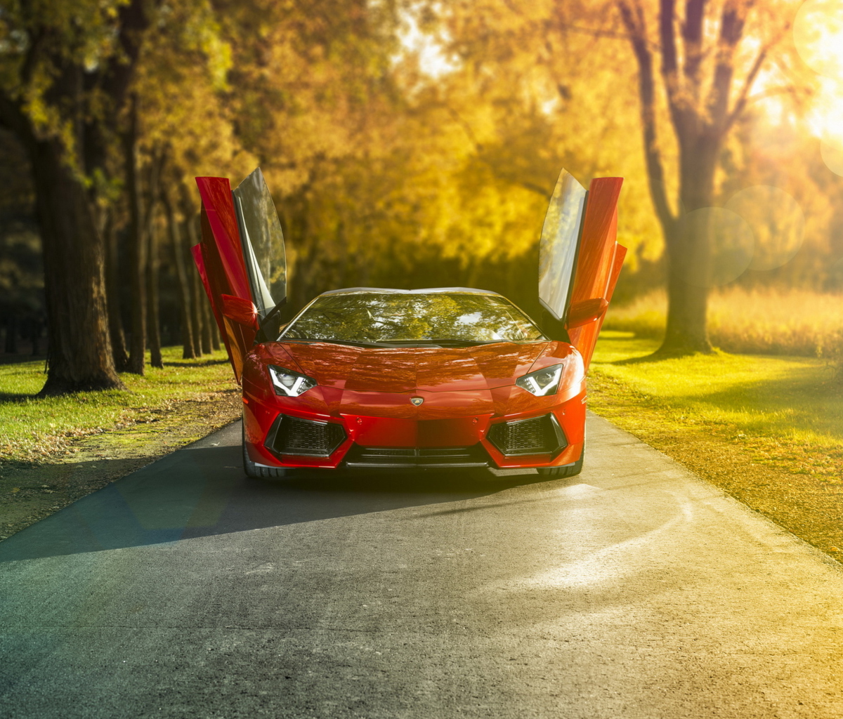 Red Lamborghini Aventador screenshot #1 1200x1024