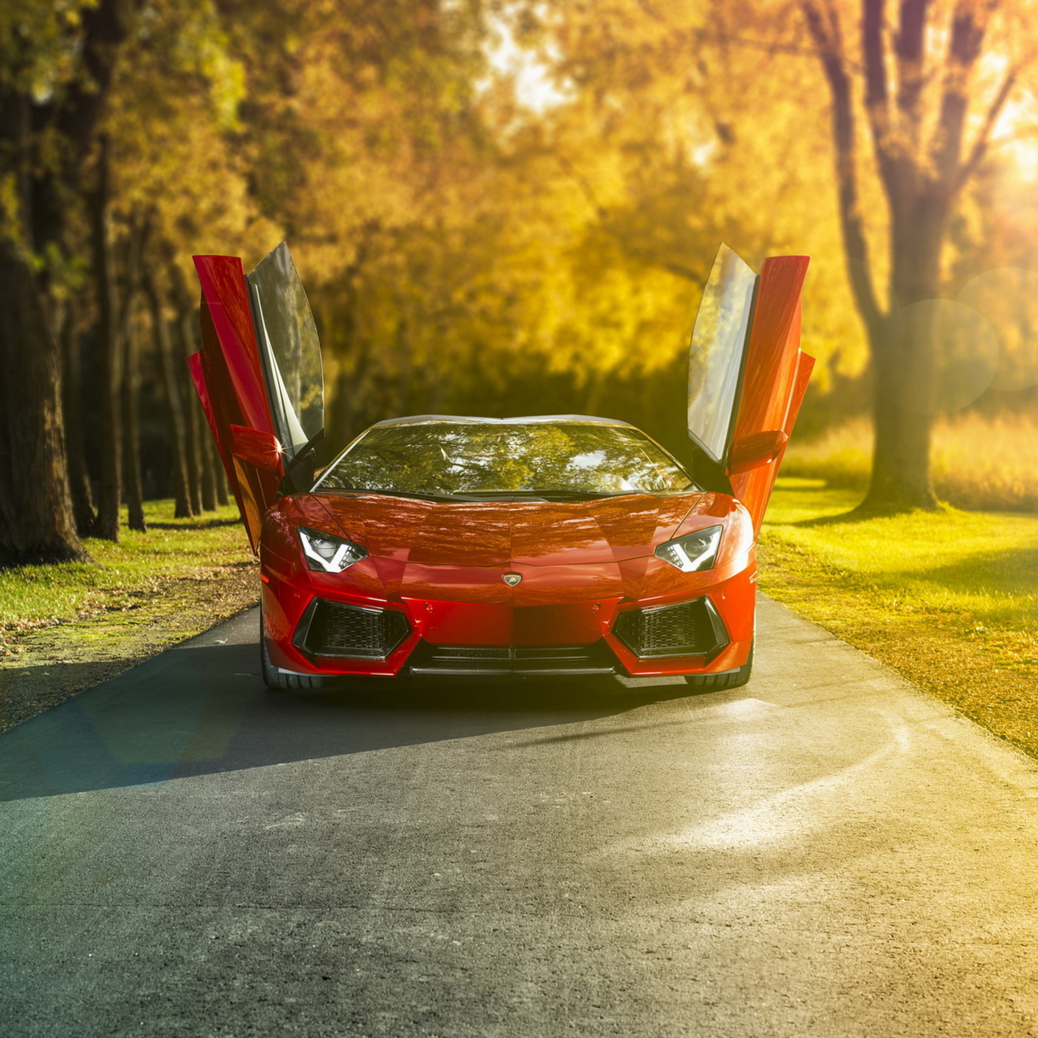 Screenshot №1 pro téma Red Lamborghini Aventador 2048x2048