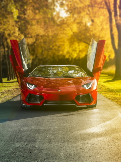 Обои Red Lamborghini Aventador 240x320