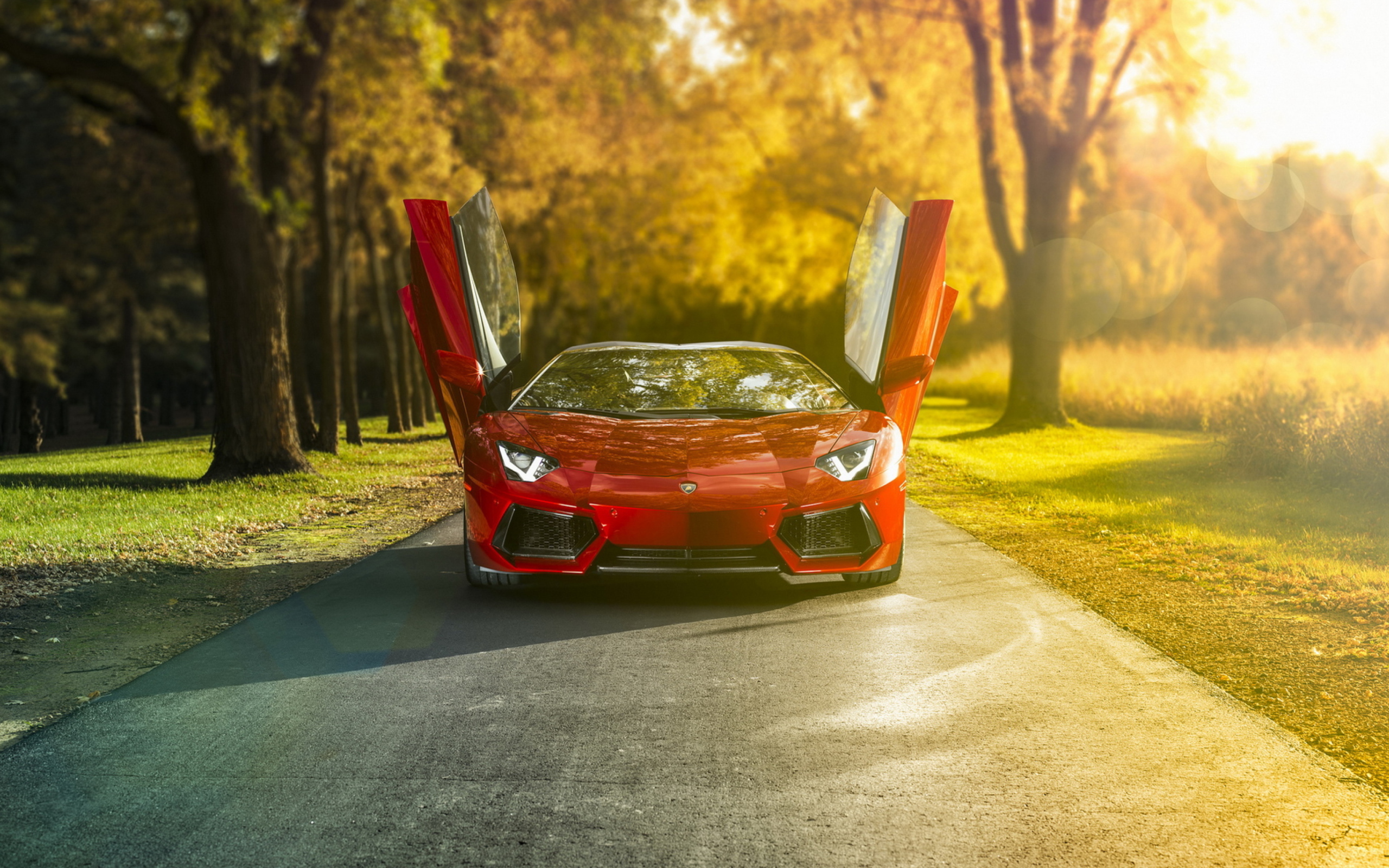 Red Lamborghini Aventador screenshot #1 2560x1600