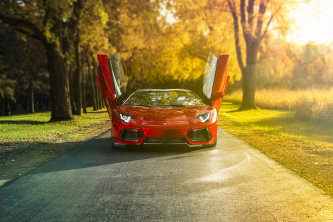 Screenshot №1 pro téma Red Lamborghini Aventador 480x320