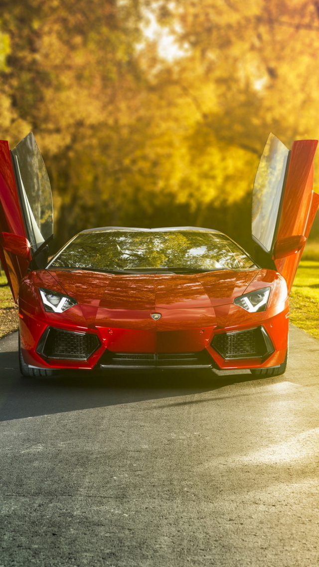 Red Lamborghini Aventador wallpaper 640x1136