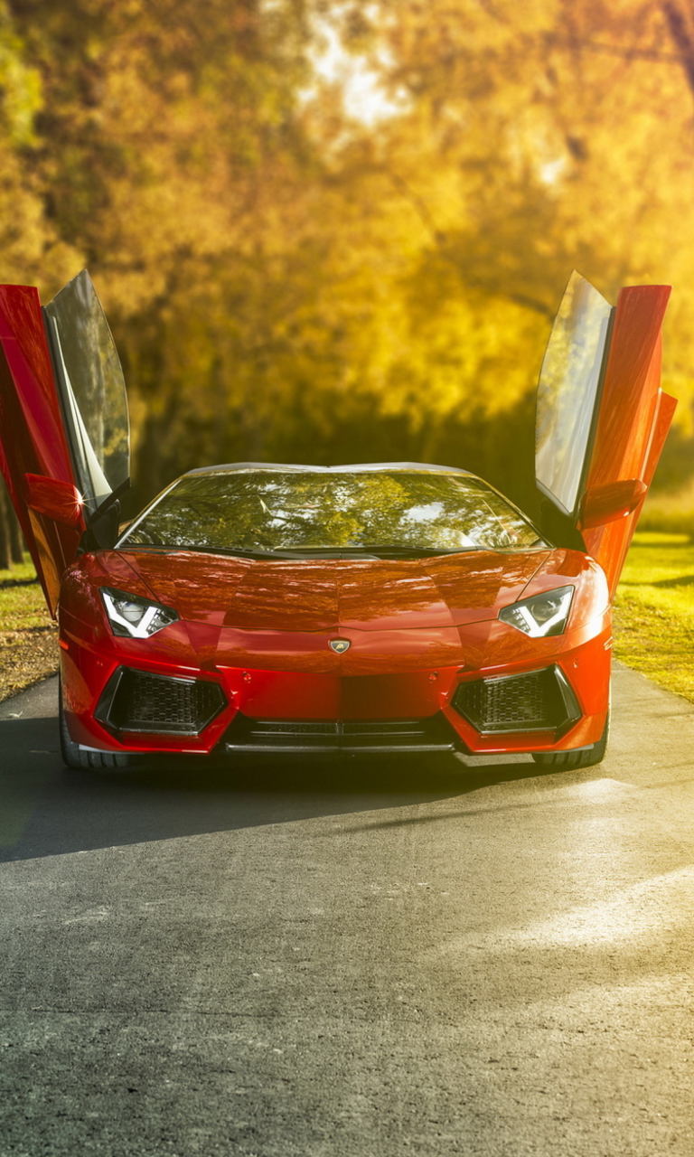 Обои Red Lamborghini Aventador 768x1280
