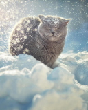Das Cat Likes Snow Wallpaper 128x160