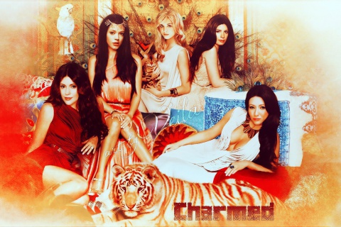 Fondo de pantalla Charmed 480x320