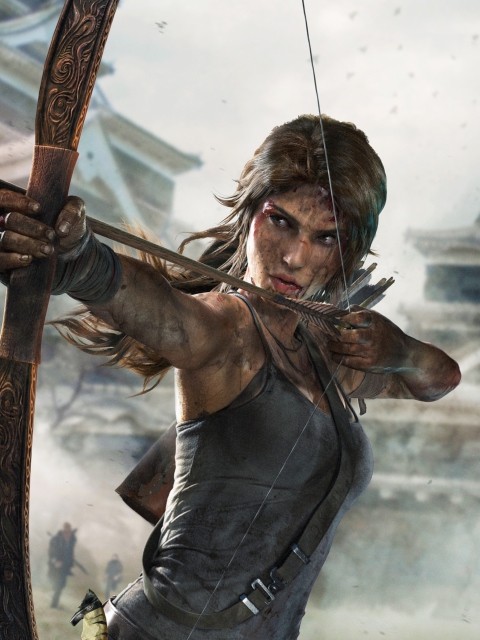 Das Tomb Raider Definitive Edition Wallpaper 480x640