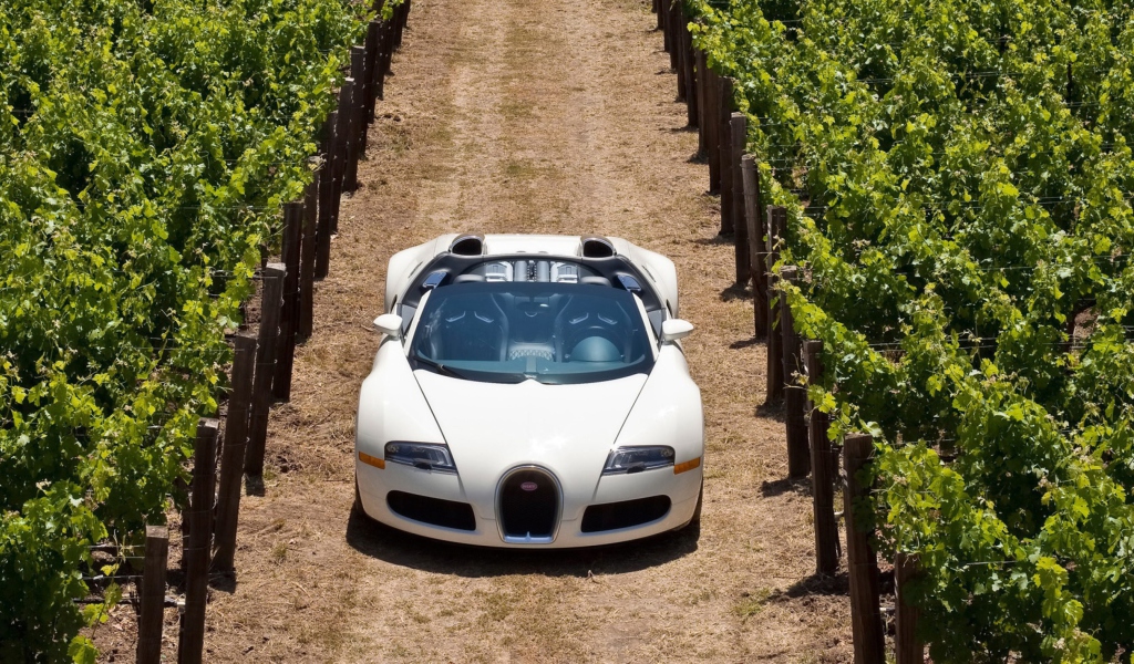 Screenshot №1 pro téma Bugatti Veyron In Vineyard 1024x600