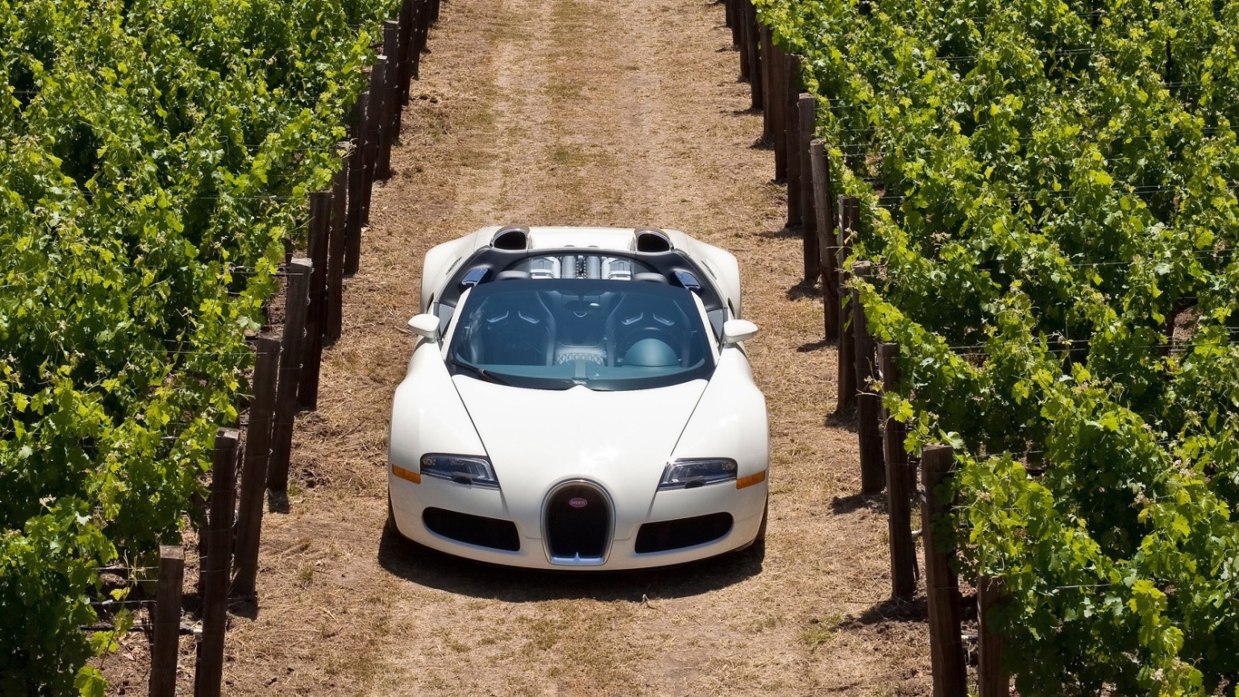 Das Bugatti Veyron In Vineyard Wallpaper 1366x768
