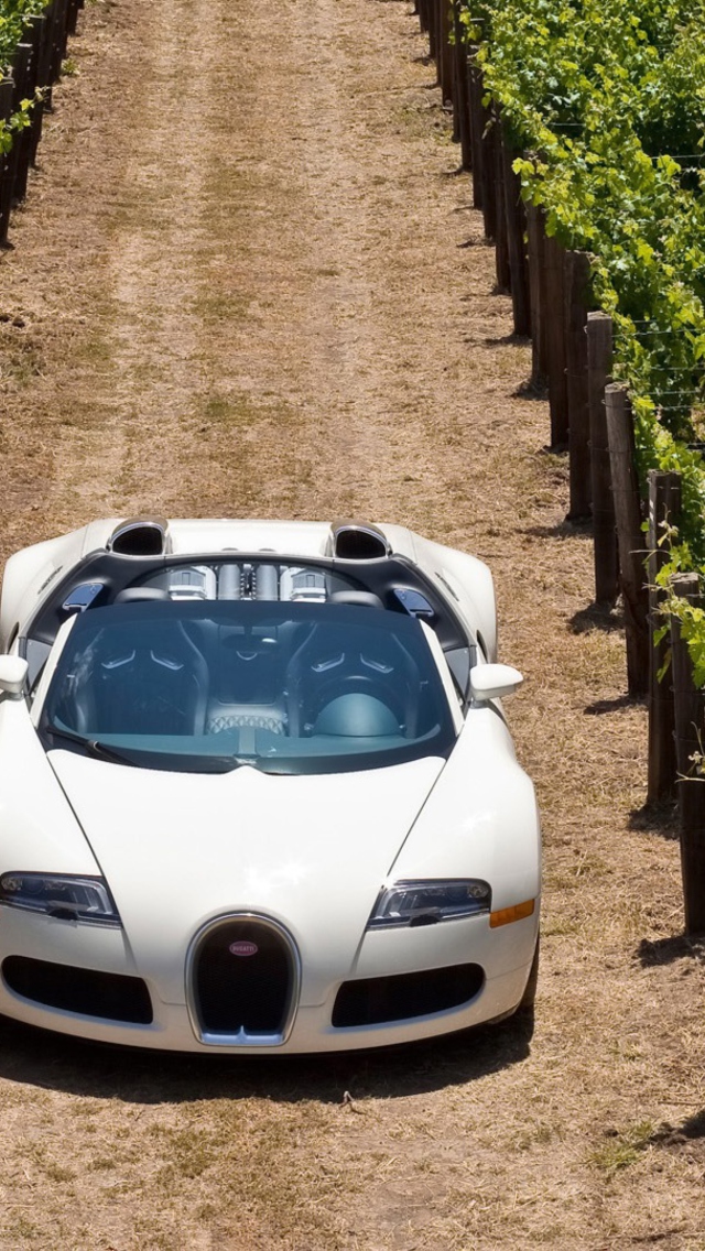 Das Bugatti Veyron In Vineyard Wallpaper 640x1136