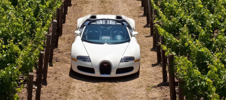 Bugatti Veyron In Vineyard wallpaper 720x320