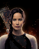 Das The Hunger Games: Catching Fire Wallpaper 128x160