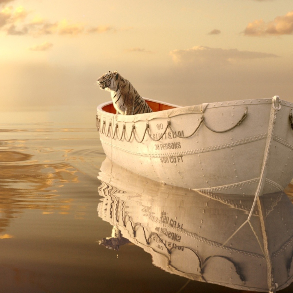 Life Of Pi wallpaper 1024x1024