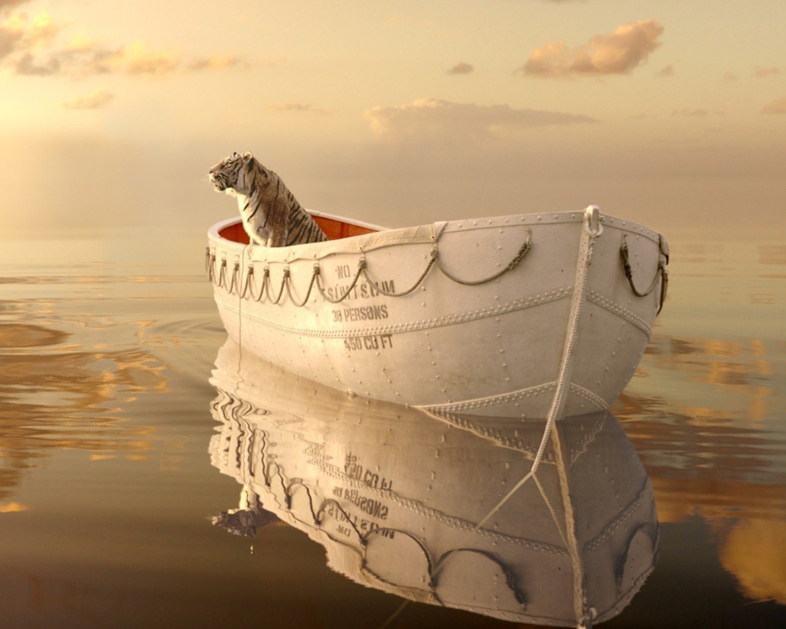 Life Of Pi wallpaper 1600x1280