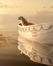 Sfondi Life Of Pi 176x220