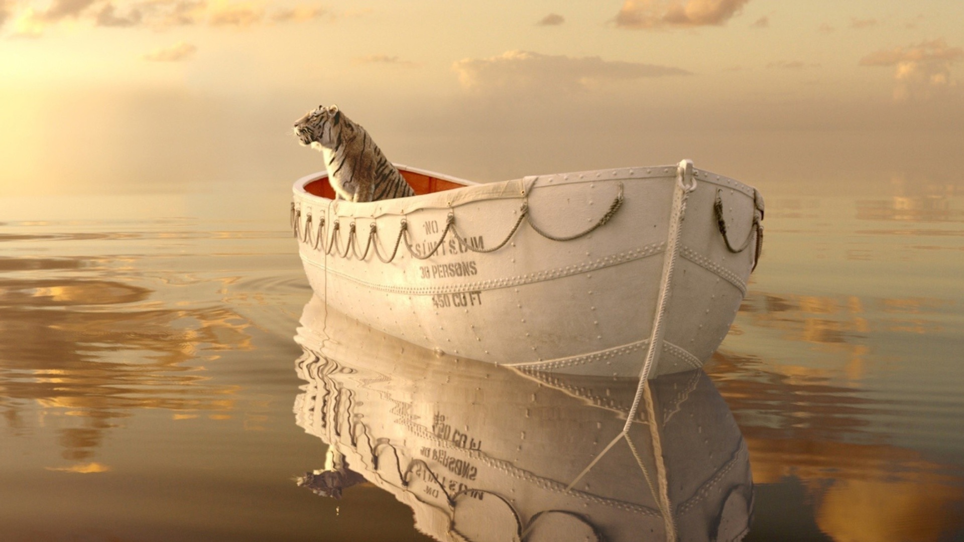 Screenshot №1 pro téma Life Of Pi 1920x1080