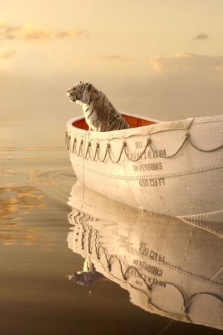 Screenshot №1 pro téma Life Of Pi 320x480