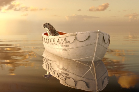 Das Life Of Pi Wallpaper 480x320